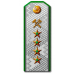 Погоны Вице-генерал-директора 2-го ранга НКПС, обр. 1943 г..